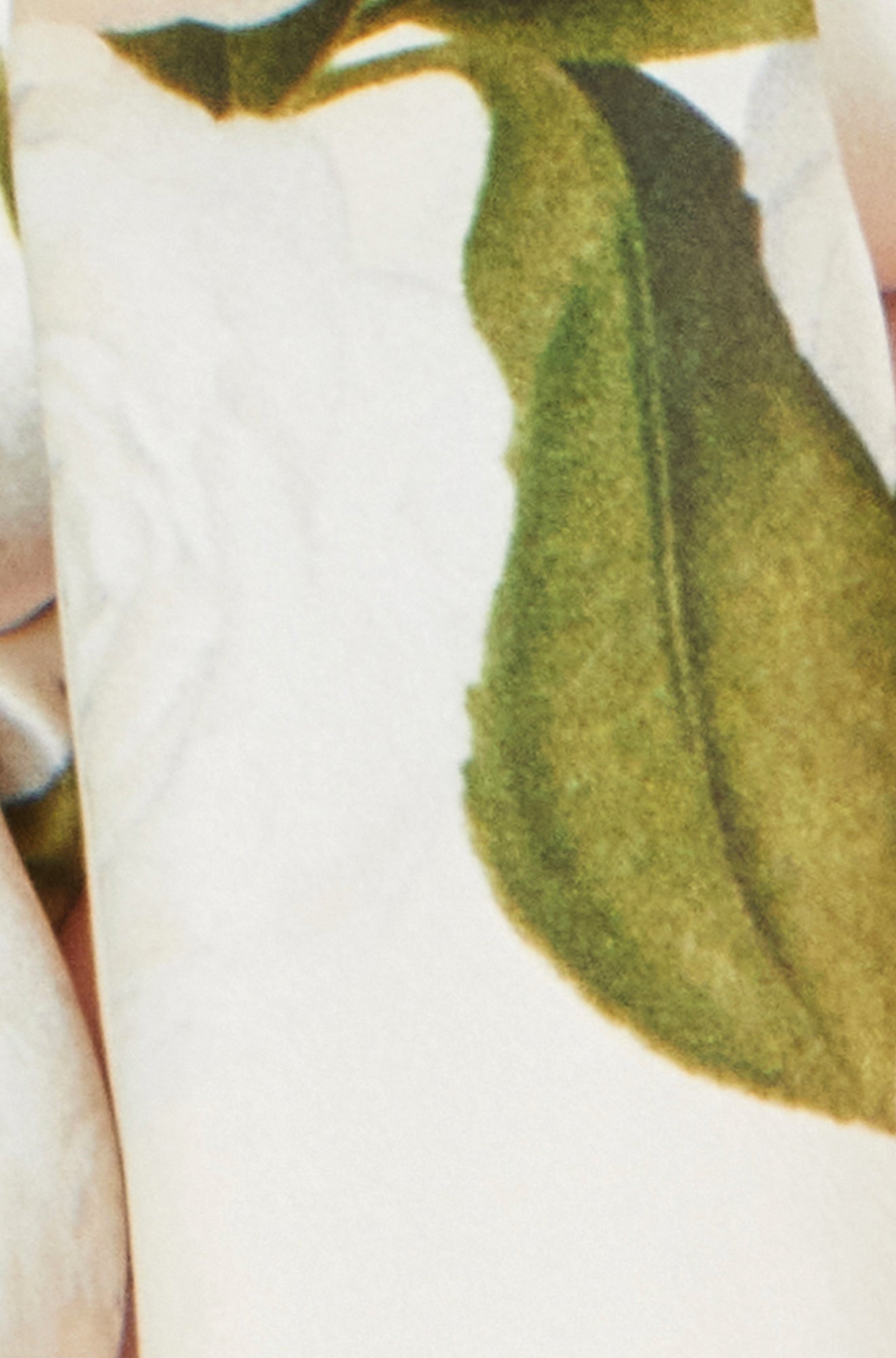 Ivory Botanical Rose Print Scarf - 100% Silk