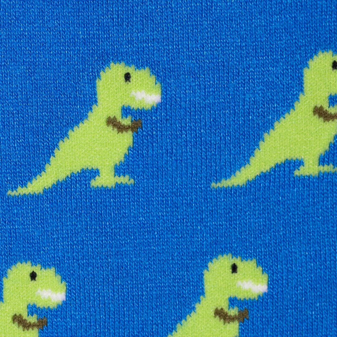 Roar Together – T-Rex Matching Bamboo Socks