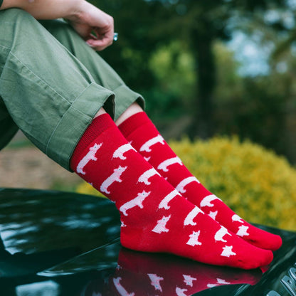 The Last Sock – Sustainable Bamboo by Swole Panda